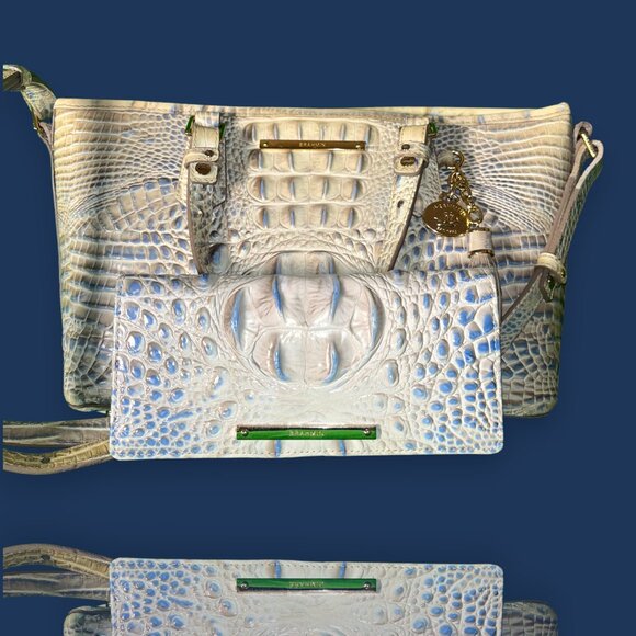 Brahmin Bag and Wallet (Blue and White)